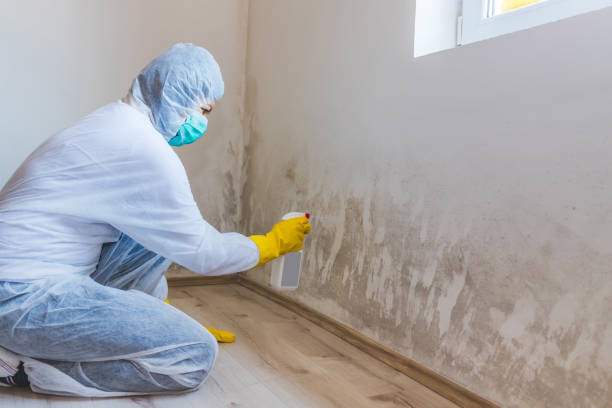 Mold Remediation specialist working in Eaton